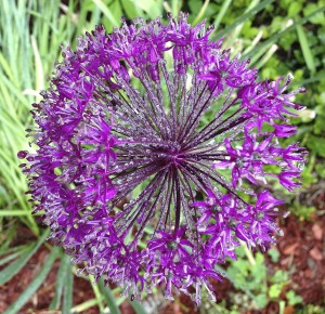 Importance of drinking water thumbnail